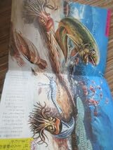 Amazon.co.jp: なぜなに学習図鑑 きょうりゅうと怪獣小学館 恐竜パチ