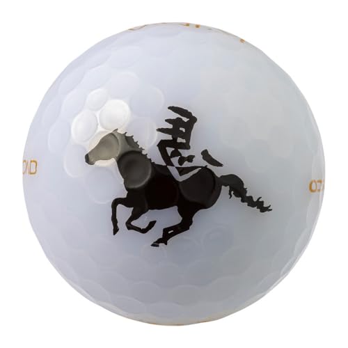 ゴルフボール 2026干支ボール 12球入 1ダース ホワイト 黒馬 ゴルフ kasco キャスコ