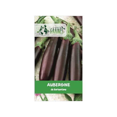 550 Graines d'Aubergine Violette de Barbentane - Variété Précoce et Rustique - Fruits Longs et Productifs