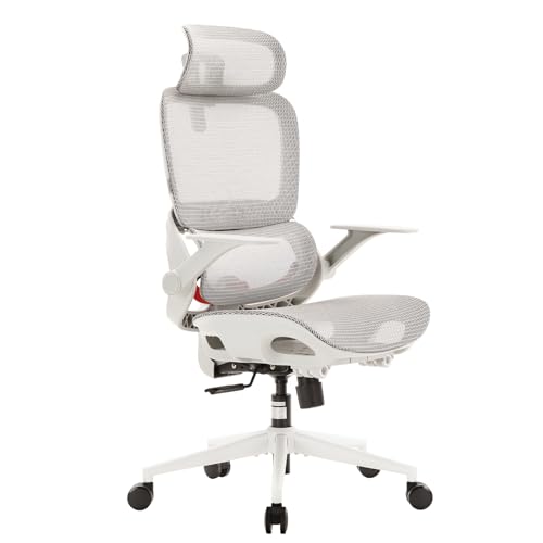 SIHOO B100 Lite - Silla ergonómica de escritorio de oficina