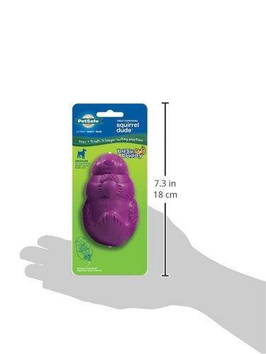 PetSafe Brinquedo para cães Busy Buddy Squirrel Dude – Brinquedo dispensador de petiscos – Tamanhos