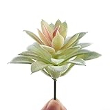 Apparence réaliste : avec un savoir-faire méticuleux, ces plantes artificielles ont un aspect réaliste qui ressemble étroitement aux plantes succulentes naturelles. Ils sont conçus pour apporter une atmosphère vibrante et fraîche à n'importe quel espace sans les tracas de prendre soin de vraies plantes.