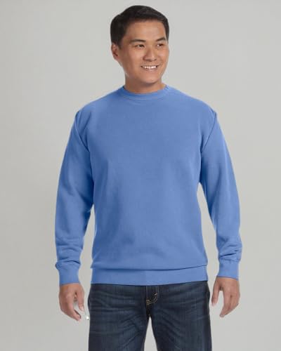 Comfort Colors Mens Crew Neck Fashion-sweatshirts, Flo Blue Pgmdye, Large US4