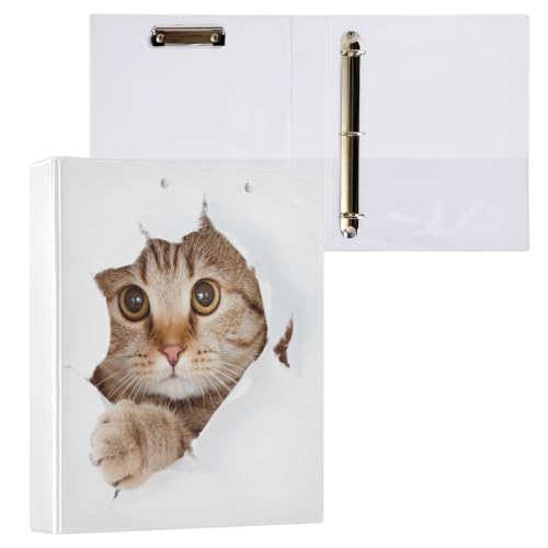 Ot@C [Y[t oC_[ a4 킢 L F DO 3 200[ Nbv&[|Pbgt ސ pi