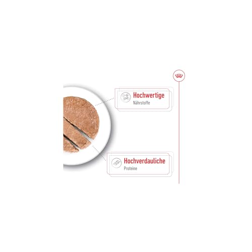 Royal Canin Maxi Adult | 12 x 410 g | Alleinfuttermittel für ausgewachsene große Hunde (26-44 kg) | Nährstoffreiche und ausgewogene Feuchtnahrung mit hochverdaulichen Proteinen