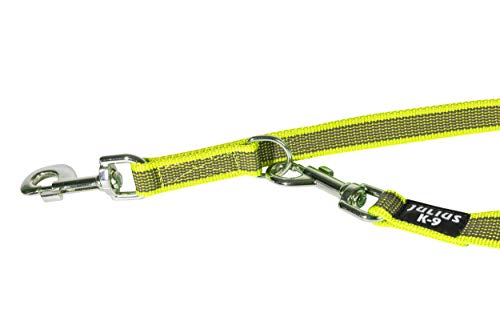 IDC Color & Gray verstellbare Leine mit Doppelkarabiner, 20 mm x 2,2 m, Neon-Grau