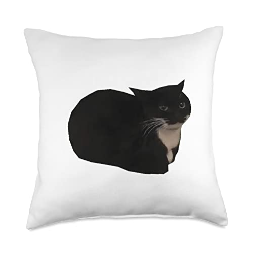 Spinning Cat Meme Maxwell The Cat Meme Throw Pillow