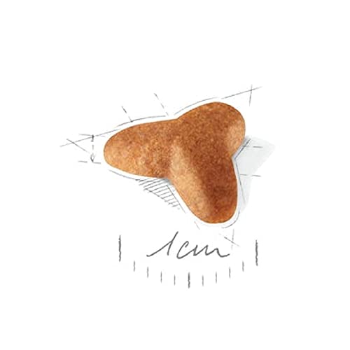 ROYAL CANIN Pug Puppy | 1,5 kg | Trockenfutter für Hunde | Speziell für Mops-Welpen bis zum 10. Monat | Zur Unterstützung der körpereigenen Abwehrkräfte | Exklusive Krokette