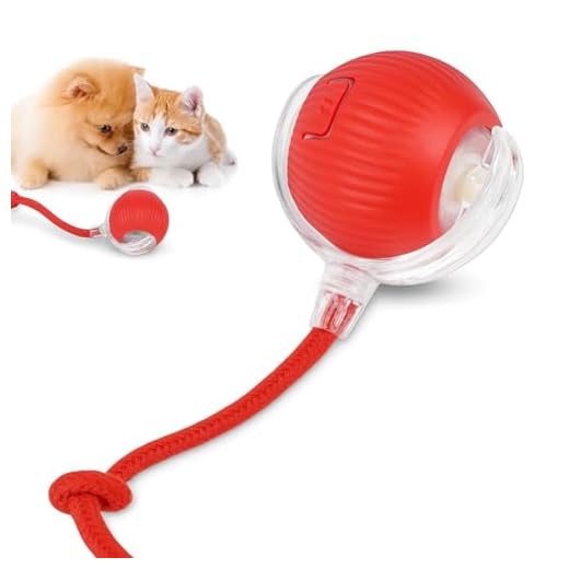 Bola Interativa Pet Inteligente Gato Cão Automática Recarregável Tipo C Brinquedo Gatos Rolamento Inteligente Brinquedos Pets Anti Mordida Brincar Cães Objeto Gato Durável Brinquedo Pet Cores Sortidas