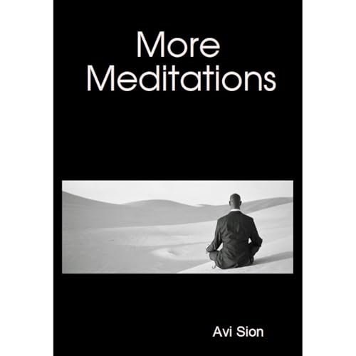 Avi Sion's More Meditations episode artwork