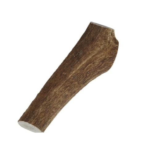 Dei NATURE - Corna di Cervo per Cani Intera -TAGLIA XL- Masticativo Naturale - Rafforza Igiene Orale - Resistenti e Duraturi - Disponibili in Tutte Le Taglie visita il nostro store