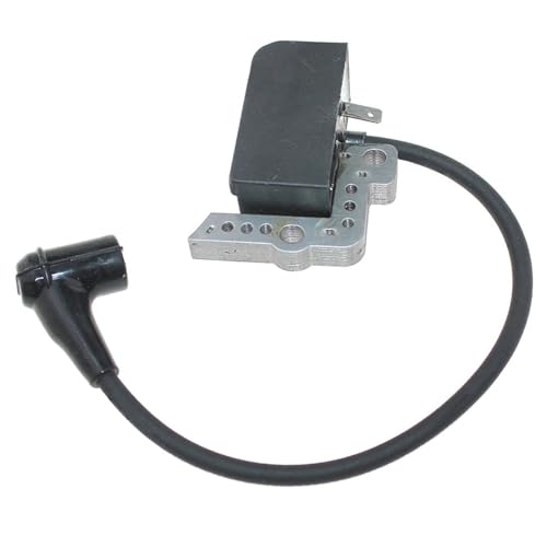 Module d'allumage Echo pour résoudre les problèmes de démarrage à chaud - 4