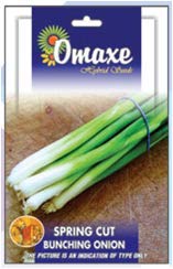 Bunching Onion Spring Cut Exotic Seeds - Pack of 2 Kitchen garden seeds packet (B07MCCYTN7) Amazon Price History, Amazon Price Tracker