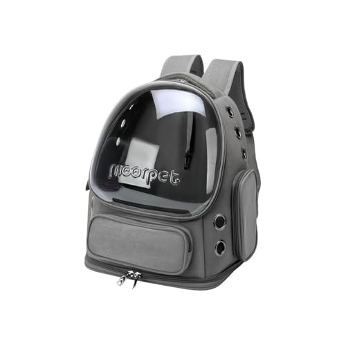 ybgpi p ^Lp ^p p ybgL[obO LL[ Lp FDJvZ^ bNTbN sybgobO  (O[)