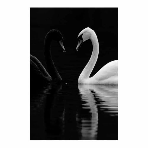 Peinture sur toile cygne décoration murale moderne noir et blanc chambre adulte 60x90