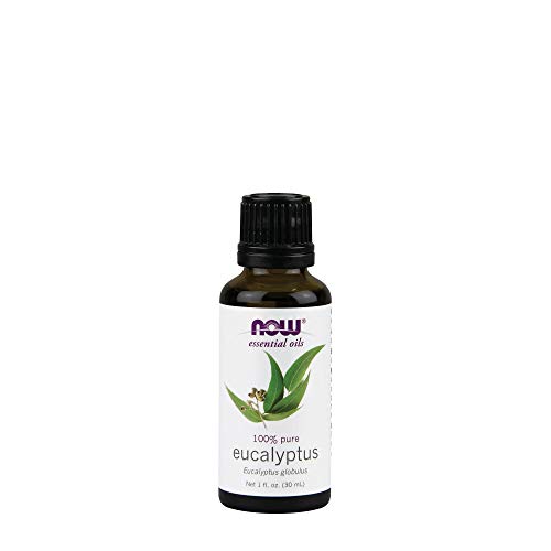Preisvergleich Produktbild Now Foods Eukalyptus Öl
