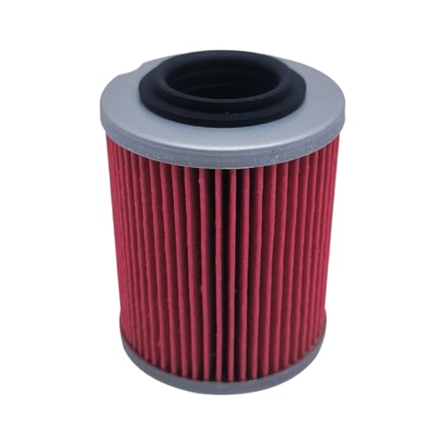 Filtre à huile Odes LZ800 RM800 pièce moteur Raider 21040111601 quad