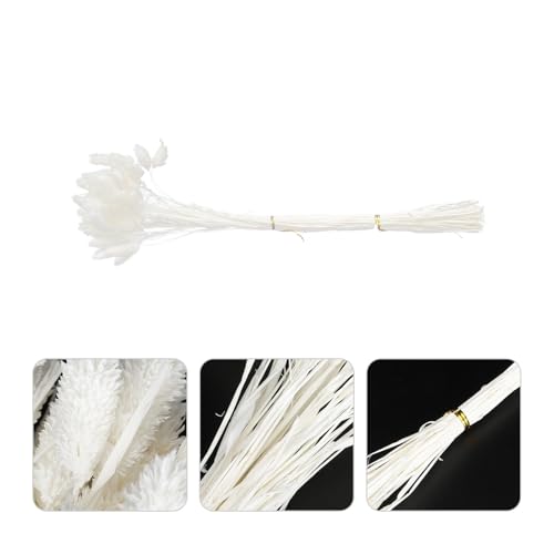 Bouquet de flores secas White Rabbit Tail Grass 50 piezas miniatura 7