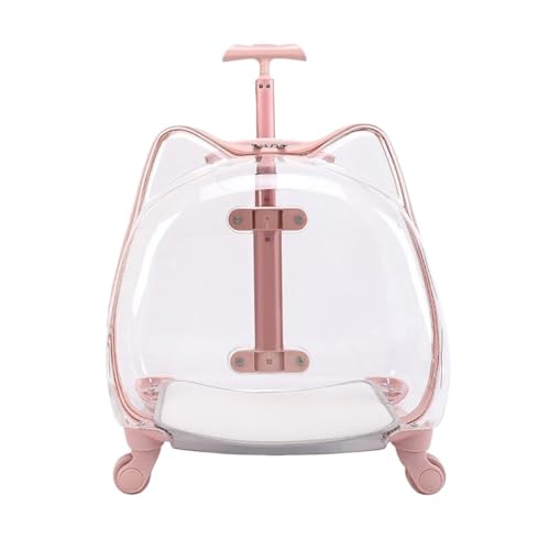 ybgL[obO LX^[t  ^ L p J[g Lknh op  gт₷  ʉ@ U s dԈړ hЗp ʋC L[P[X (Lvbh - sN)