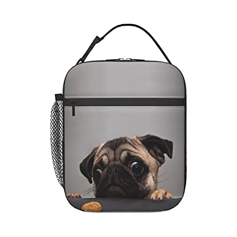 Bolsa térmica reutilizable Yilad para almuerzo Cover