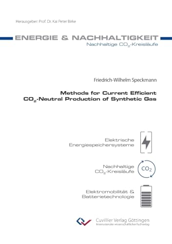 Methods for Current Efficient CO2-Neutral Production of Synthetic Gas (Elektrische Energiespeichersysteme)