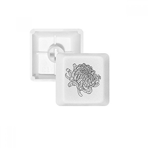 Kit touches PBT blanc OEM sans marquage pour personnalisation de clavier mécanique