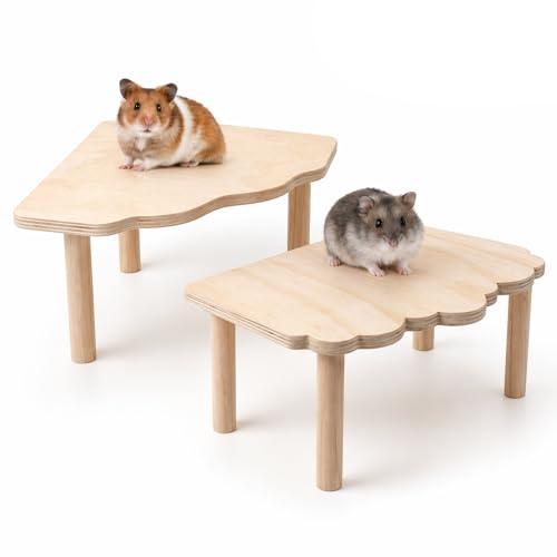 Hamster Platform 2 Pack - Wooden Cage Accessories for Dwarf Syrian Hamsters Gerbils Mice Degus - Extra Large Wood Play Stand Easy Install