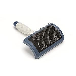 Mikki Doodle Slicker-Bürste für Pudel-Kreuzungen