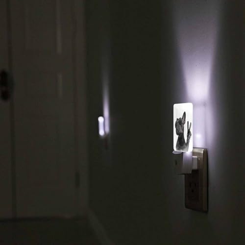 Image of LED Night Light,Cool Trendy Pose French Bulldog with Sunglasses LED Night Light Plug into Wall with Dusk to Dawn Light Sensor White Energy Efficient Nightlight for Bedroom Hallway Living Room