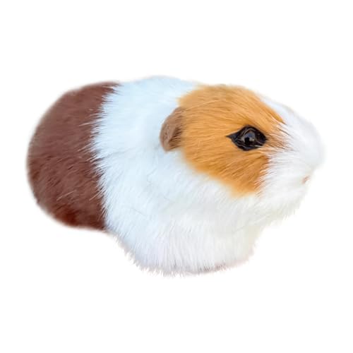 nX^[ ʂ | Ał킢Ă炩l`,ʂ   nX^[ l` -  Q \t@ I AQ a NX}X q eB[ RN^[ 