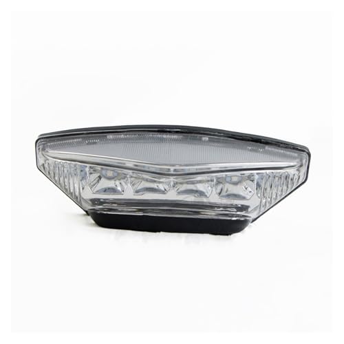 Motocicleta Luz Trasera para S1000XR G310R G310GS para R Nine T G310 R GS 2015-2017 Luz Trasera LED Integrada Luz Trasera De Motocicleta(Clear)