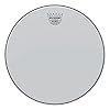 Remo Ambassador Clear Classic Fit Drumhead, 16" (CL-0316-BA) #1