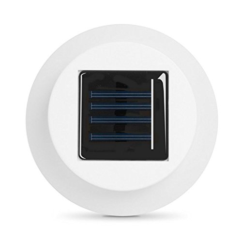 Preisvergleich Produktbild OEM Systems Company Dämmerungs Solarleuchte LED