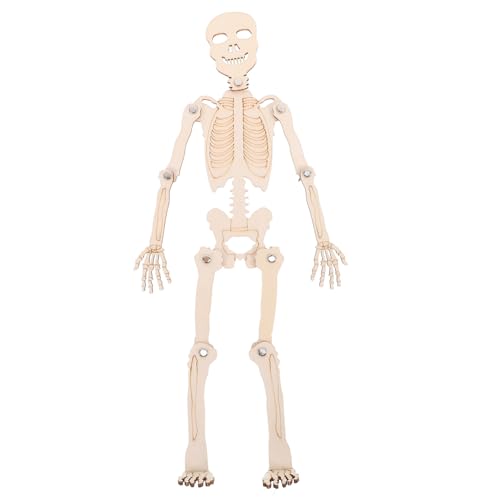 jojofuny 人体骨格模型立 教育用ヒューマンスケルトイ 小型持ち運び可能 骨格学習に 教師と学生向け実践教材