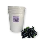 2021 Merlot Bucket Frozen Grape Must 6 Gallons - Livermore Valley California