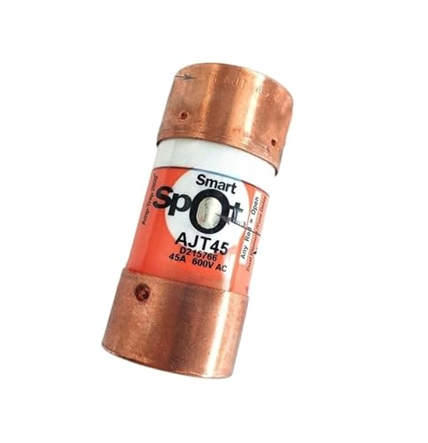 Fusible SPOT AJT45 45A 600V cartouche fusible pour armoire électrique