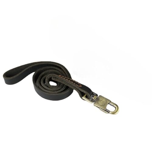 p[hv̑^/^/^p̌̍҂݂݂̖{v̍sg[jÓAAEghAAhx`[AnCLOALvAEH[LOp̃[v[h܂ (ubN,1.6M)