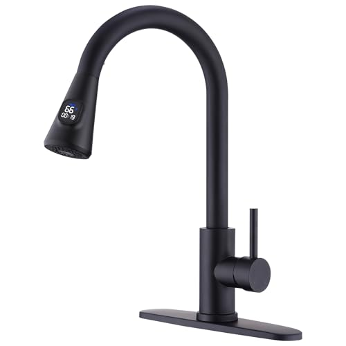 HOMELODY LED Kitchen Faucet with Pull Down Sprayer