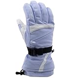 Swany Women's LaVie Snow Sports Warm Waterproof Breathable Insulated Ski Leather Winter Gloves w/Soft Plush Micro-V Lining, Washed Violet/White, Medium