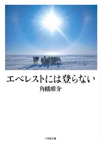 エベレストには登らない (小学館文庫)