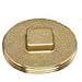 Oatey 1-1/2 in. 185 Brass Cleanout Plug