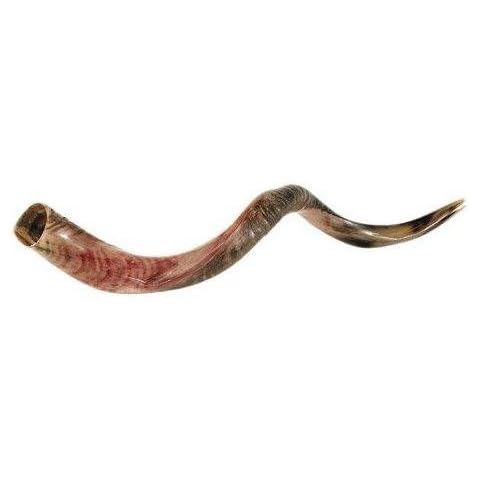 Kudu Yemenite Horn Shofar - Polished 32"-35" Cover