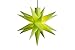 Produktbild ZICOM LED Weihnachtsstern Mini-Stern 18-Zacken wetterfest, lindgrün Ø 8cm,Timer 6h, mit Batteriefach für 3xAA, 4,5V, Innen und Außen für Weihnachten, Hochzeiten, Party, Dekoration, Geschenkidee