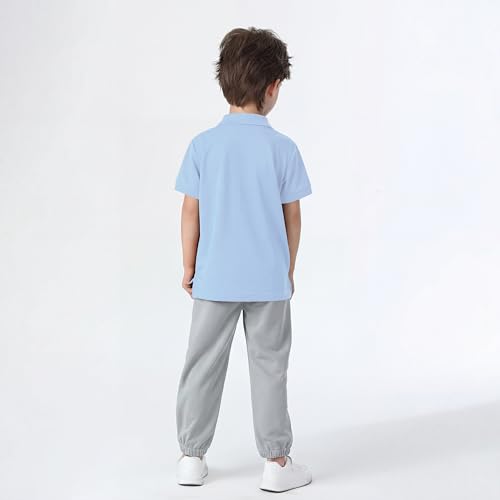 Image of Boy Polo Shirt Pique School Uniform Shirt for Kid Golf Top Youth Boy 5-14Y