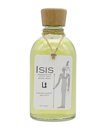 e NX^OCĐt CVX AET{ep f }Ag {iP{ŃNX^OCPkUĐ\