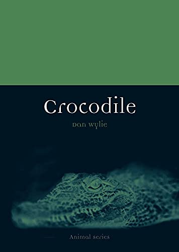 Crocodile view 2