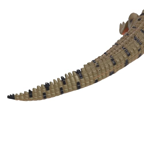 Modelo de cocodrilo educativo que soluciona el juego estático 7