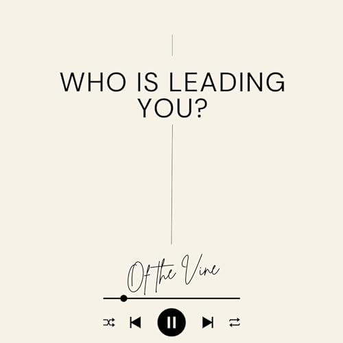 『Who is leading you?』のカバーアート