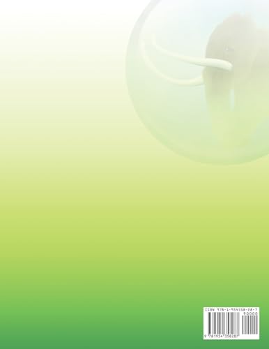 Math Mammoth Grade 6 Skills Review Workbook Answer Key - Image 2