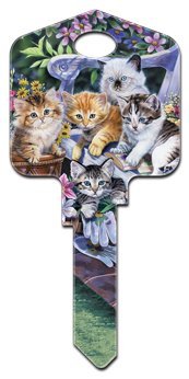 Kittens KW House Key
